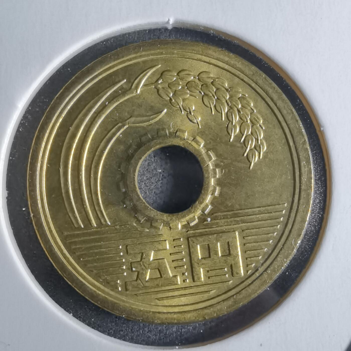 沼泽如烟--第922场