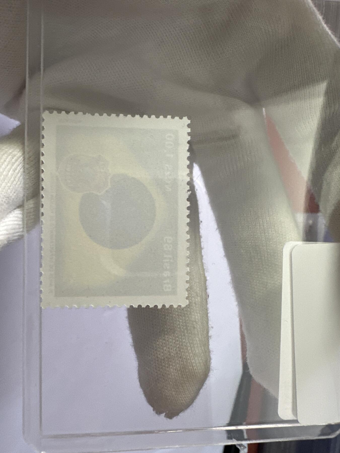 12.6邮票专场 巴西1989年联邦警察成立25周年1全