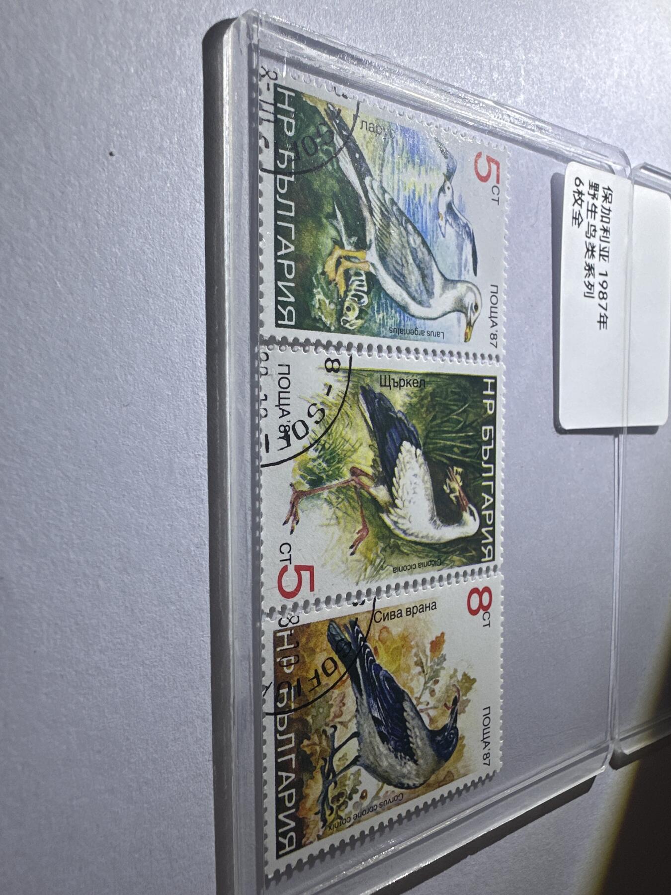 12.6邮票专场 保加利亚1987年野生鸟类系列6全