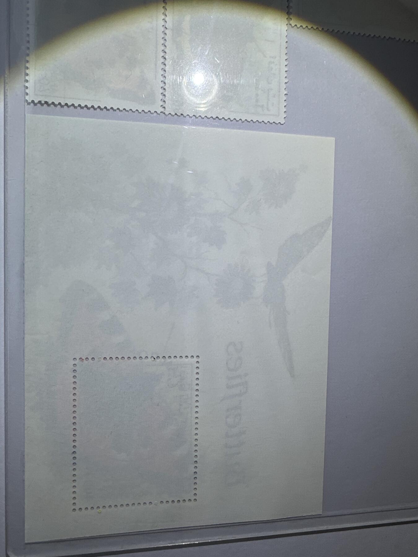 12.6邮票专场 阿富汗1998年蝴蝶系列5枚+小型张