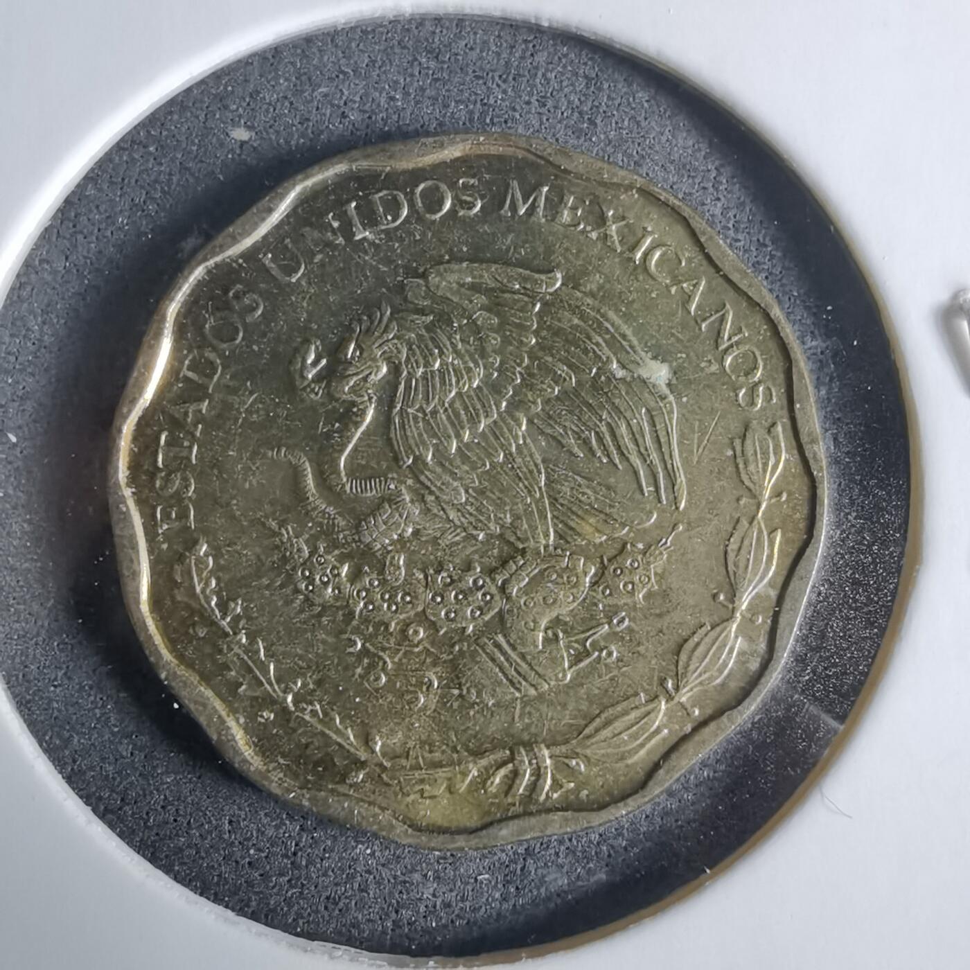 沼泽如烟--第921场 墨西哥2005年50分