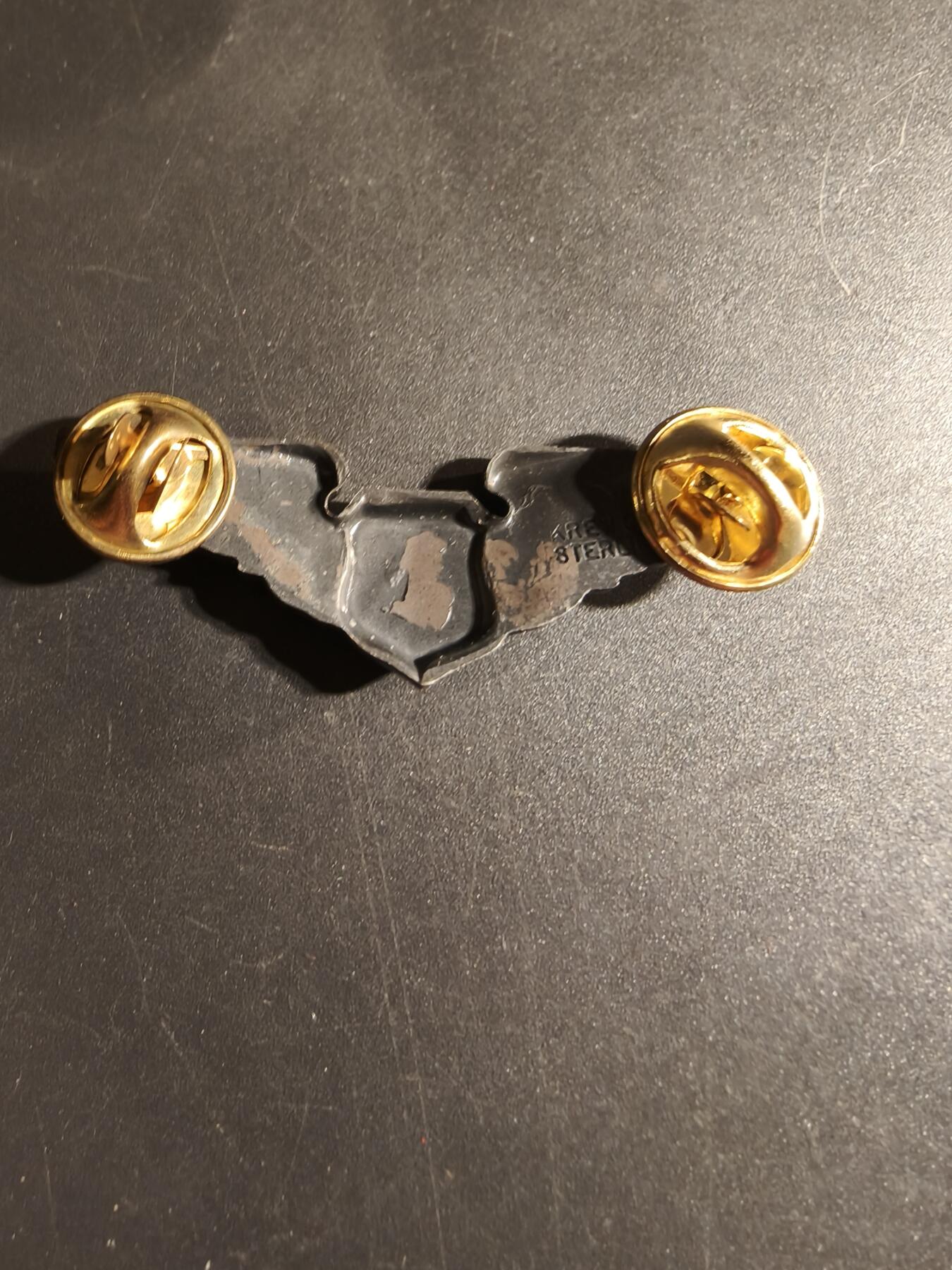 老王徽章第168期 美国空军军医技能章 925银 2英寸