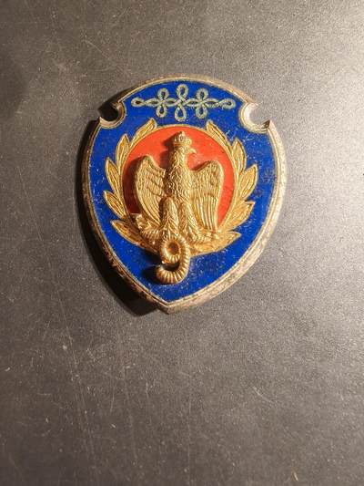 老王徽章第168期 - 法国第9骠骑兵团证章