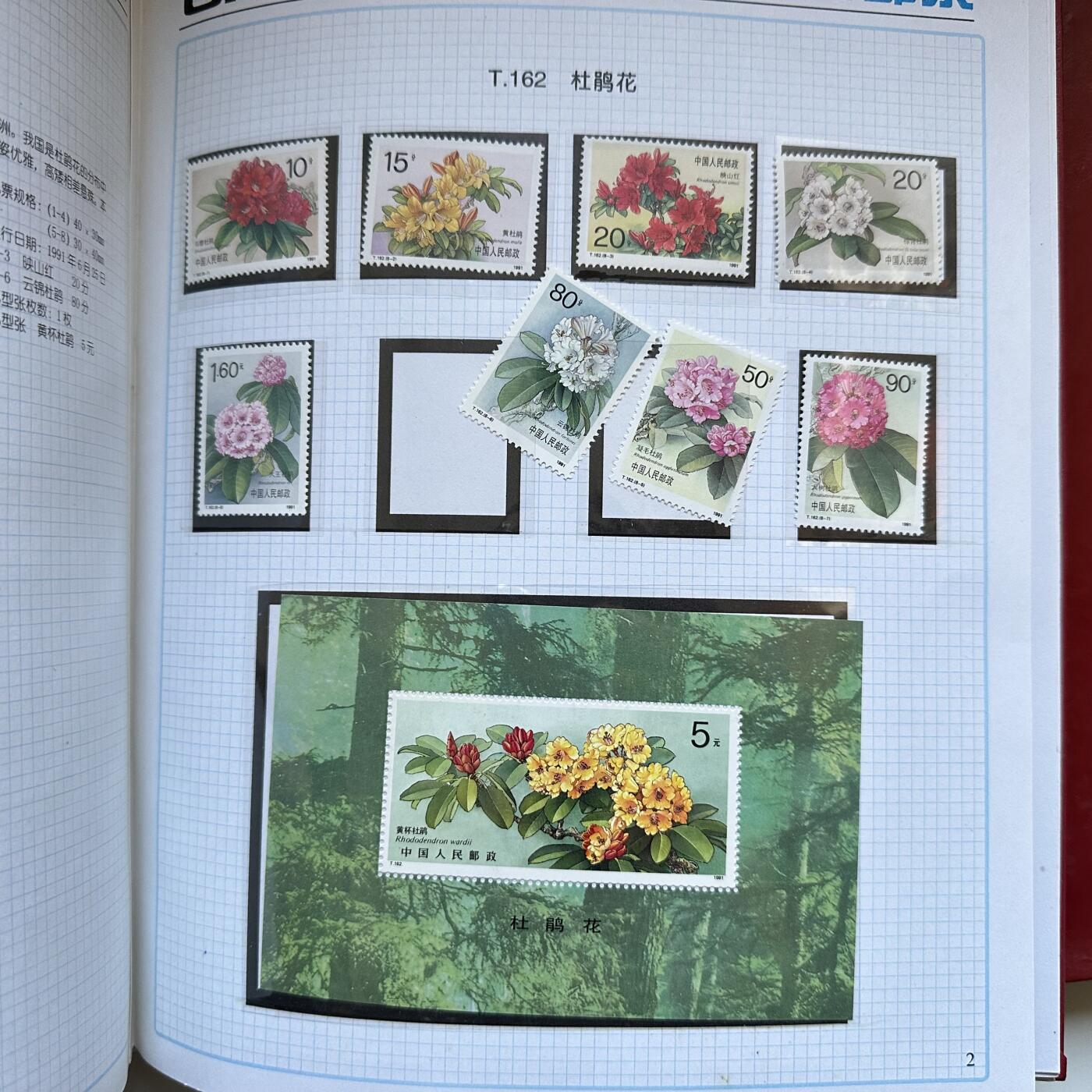 🌹外币初藏🌹🐯2025年第137场  每周二四六晚8️⃣点 接代拍 1991年邮票年册