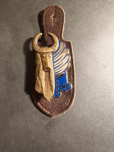 老王徽章第168期 - 法国第1伞降骠骑兵团证章