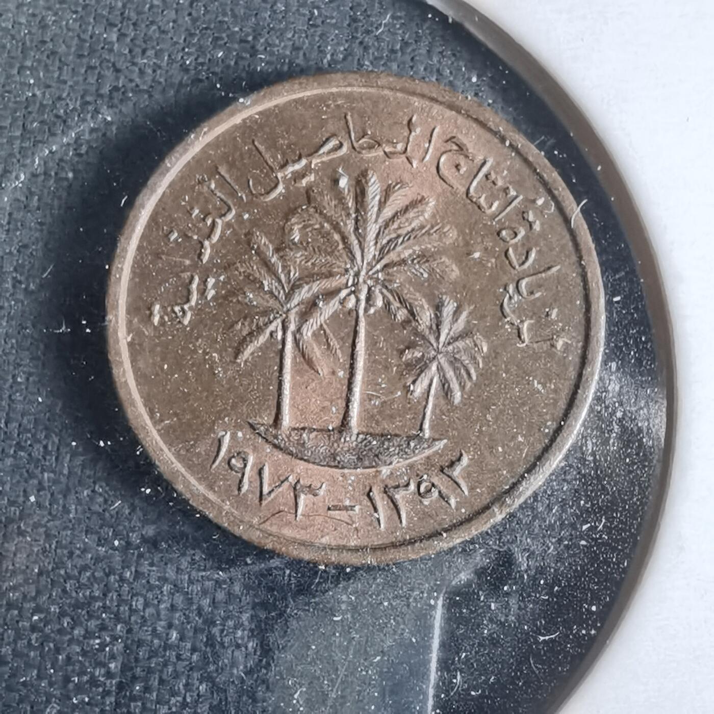 沼泽如烟--第921场 阿联酋