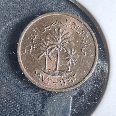 沼泽如烟--第921场 - 阿联酋