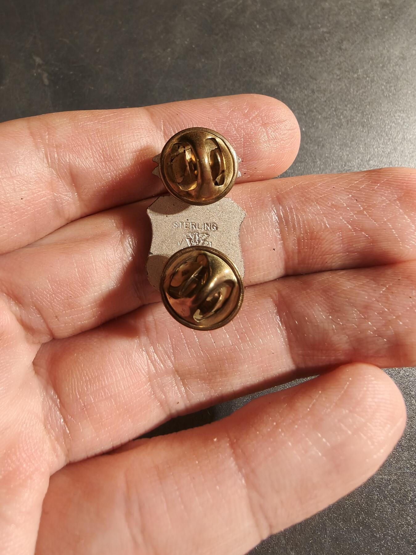 老王徽章第168期 美国空军高级护士领章     925银    9g