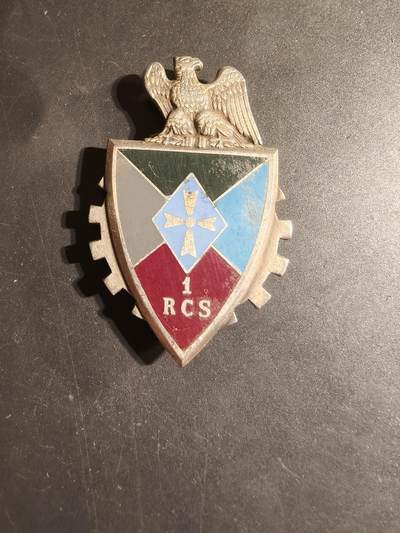 老王徽章第168期 - 法国第1指挥与支援团证章