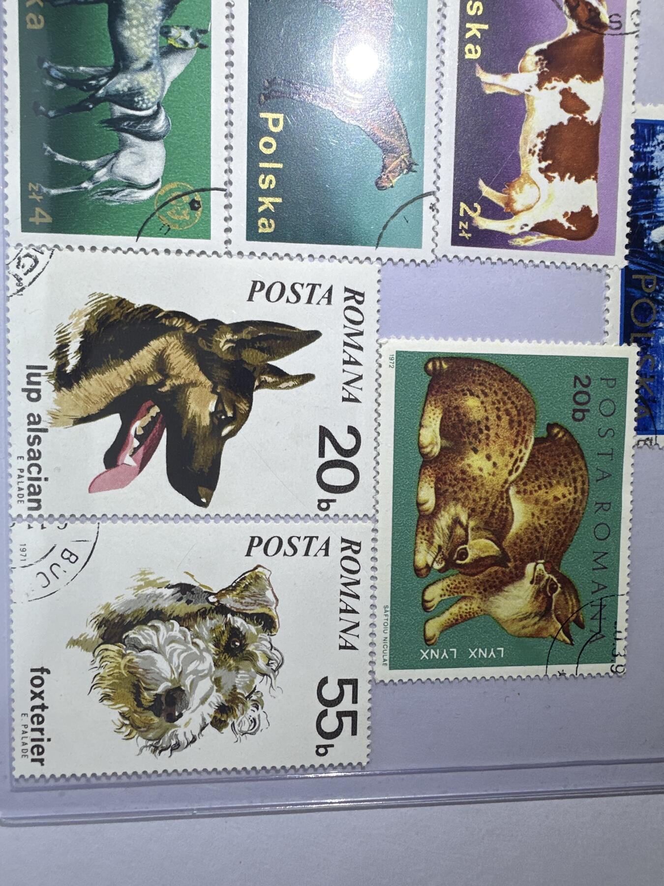 12.6邮票专场 波兰动物系列散票10枚