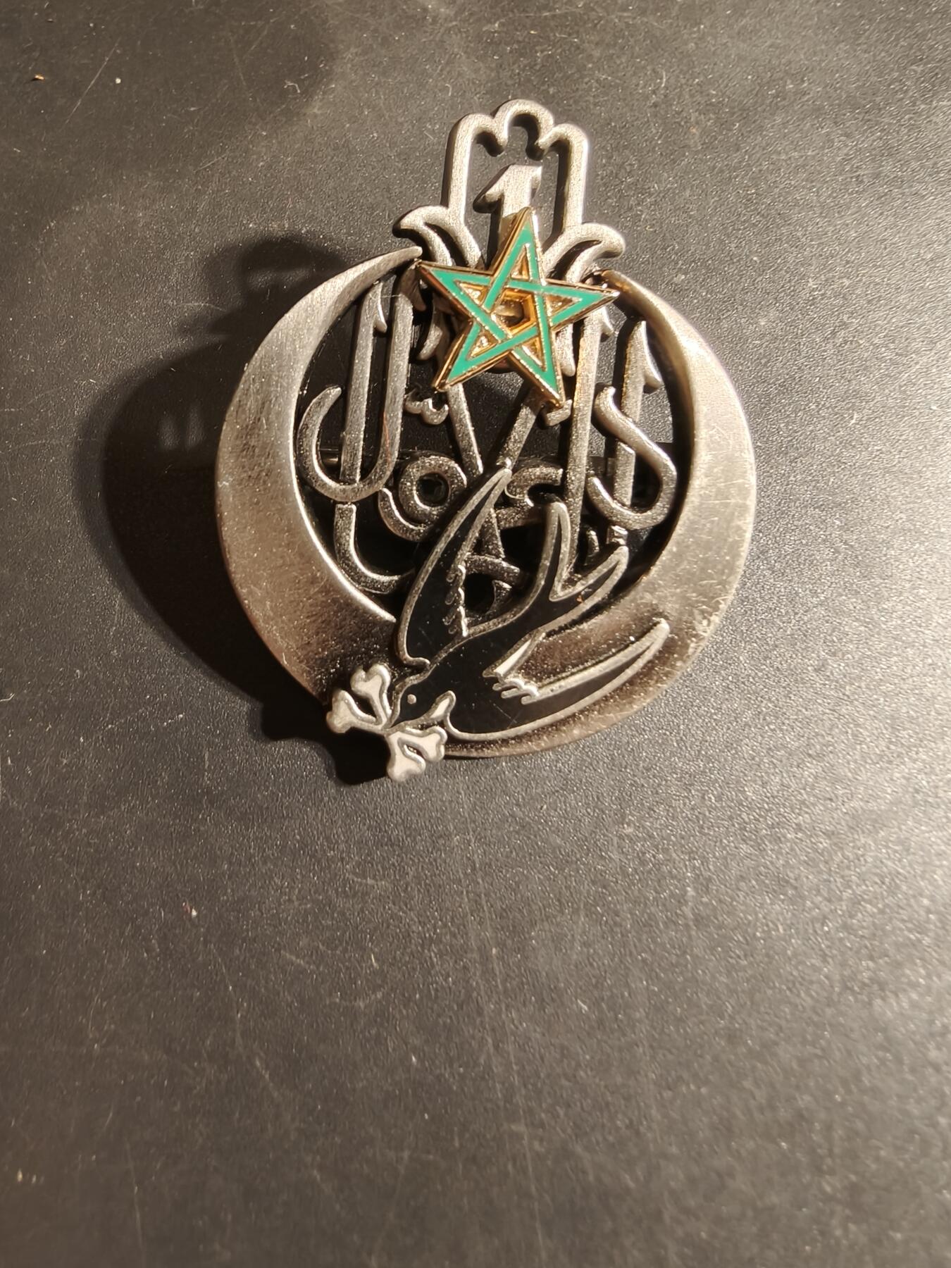 老王徽章第168期 法国第1腾跃兵团证章