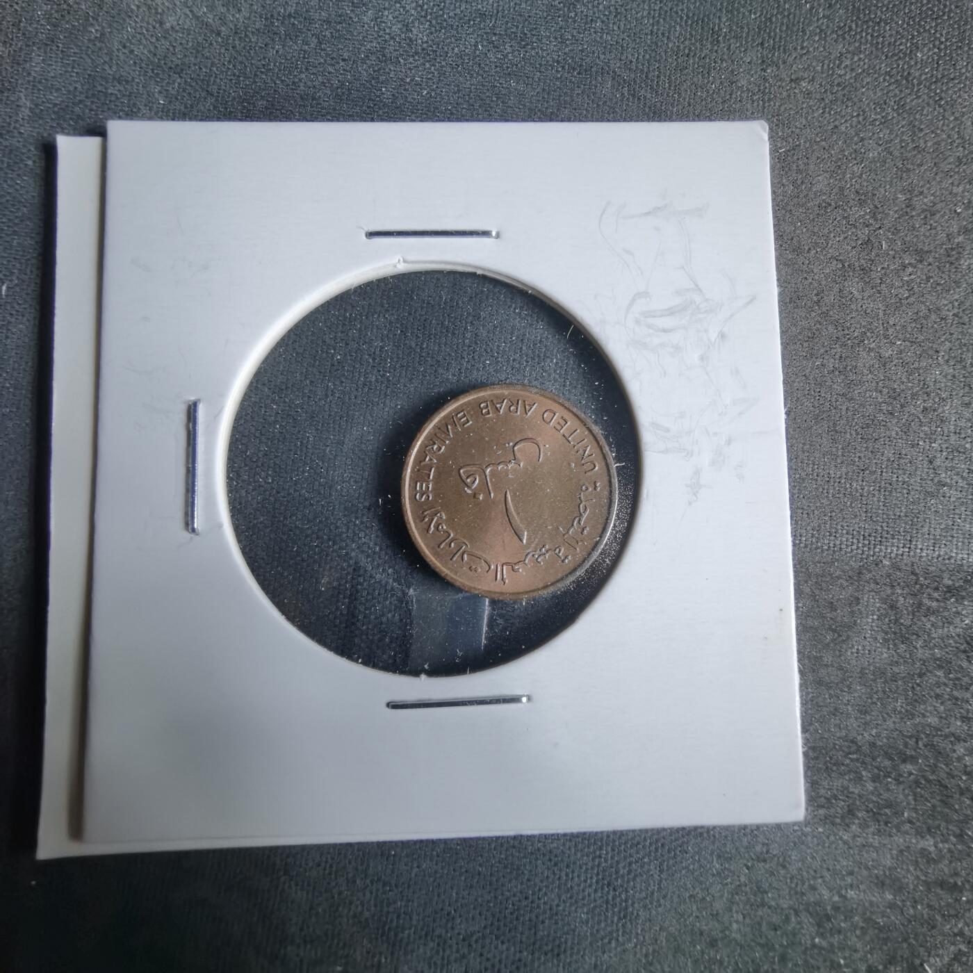 沼泽如烟--第921场 阿联酋