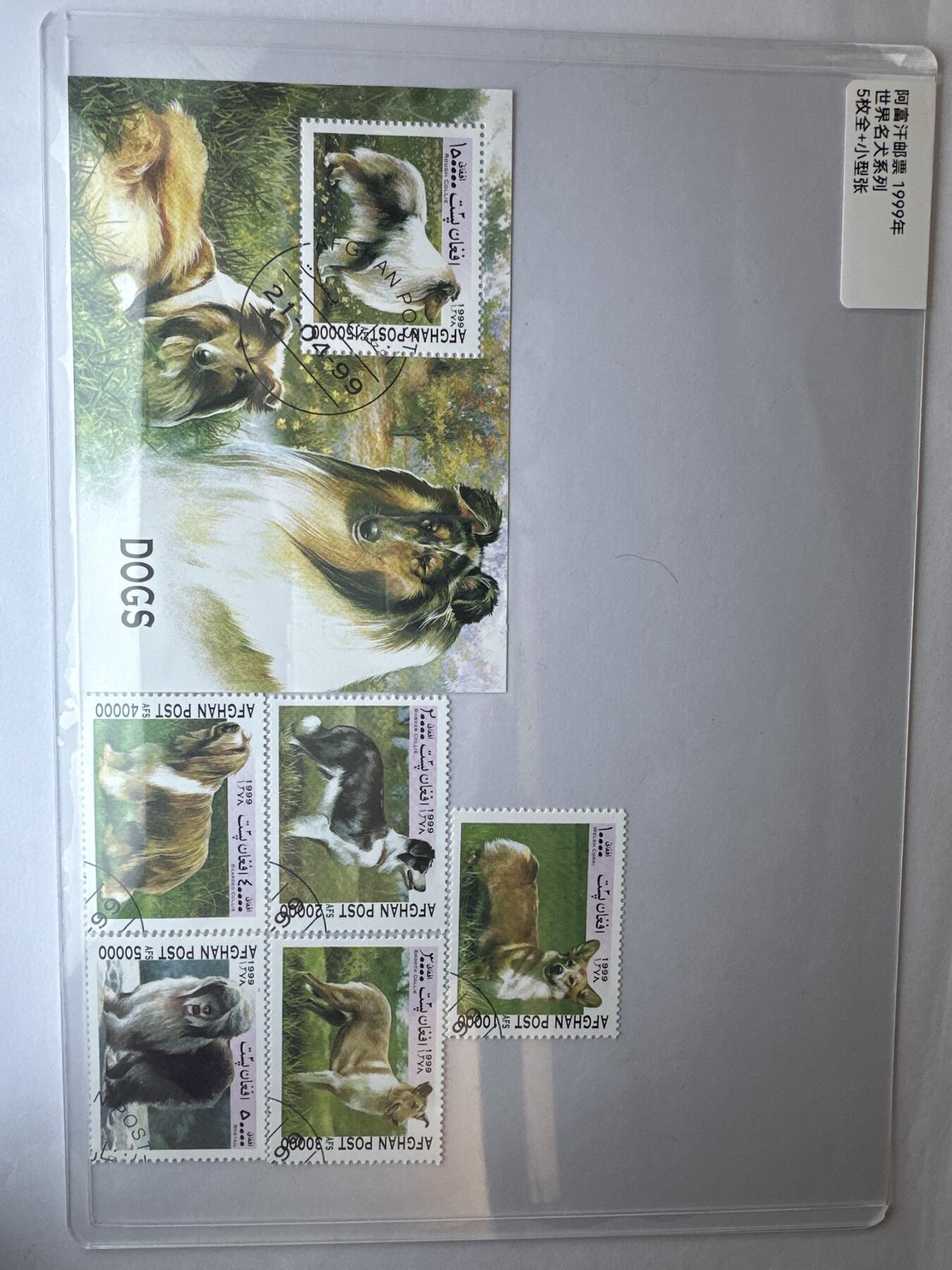 12.6邮票专场 阿富汗1999年世界名犬系列5全+小型张