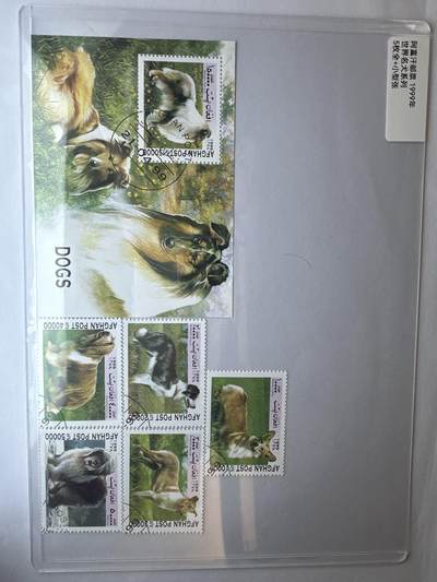 12.6邮票专场 - 阿富汗1999年世界名犬系列5全+小型张