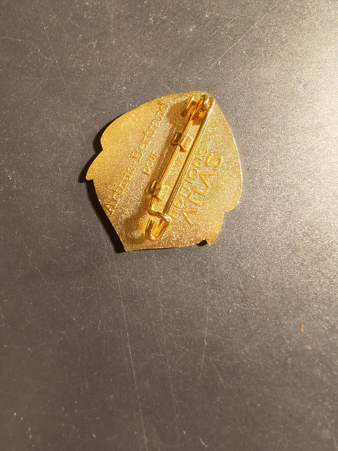 老王徽章第168期 法国乍得行进团证章