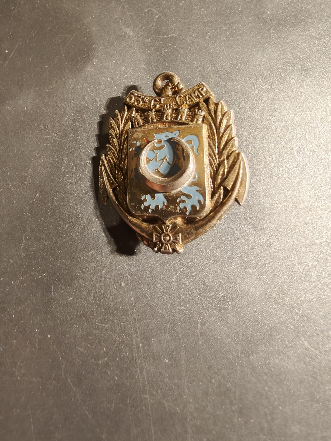 老王徽章第168期 法国第33野战连证章