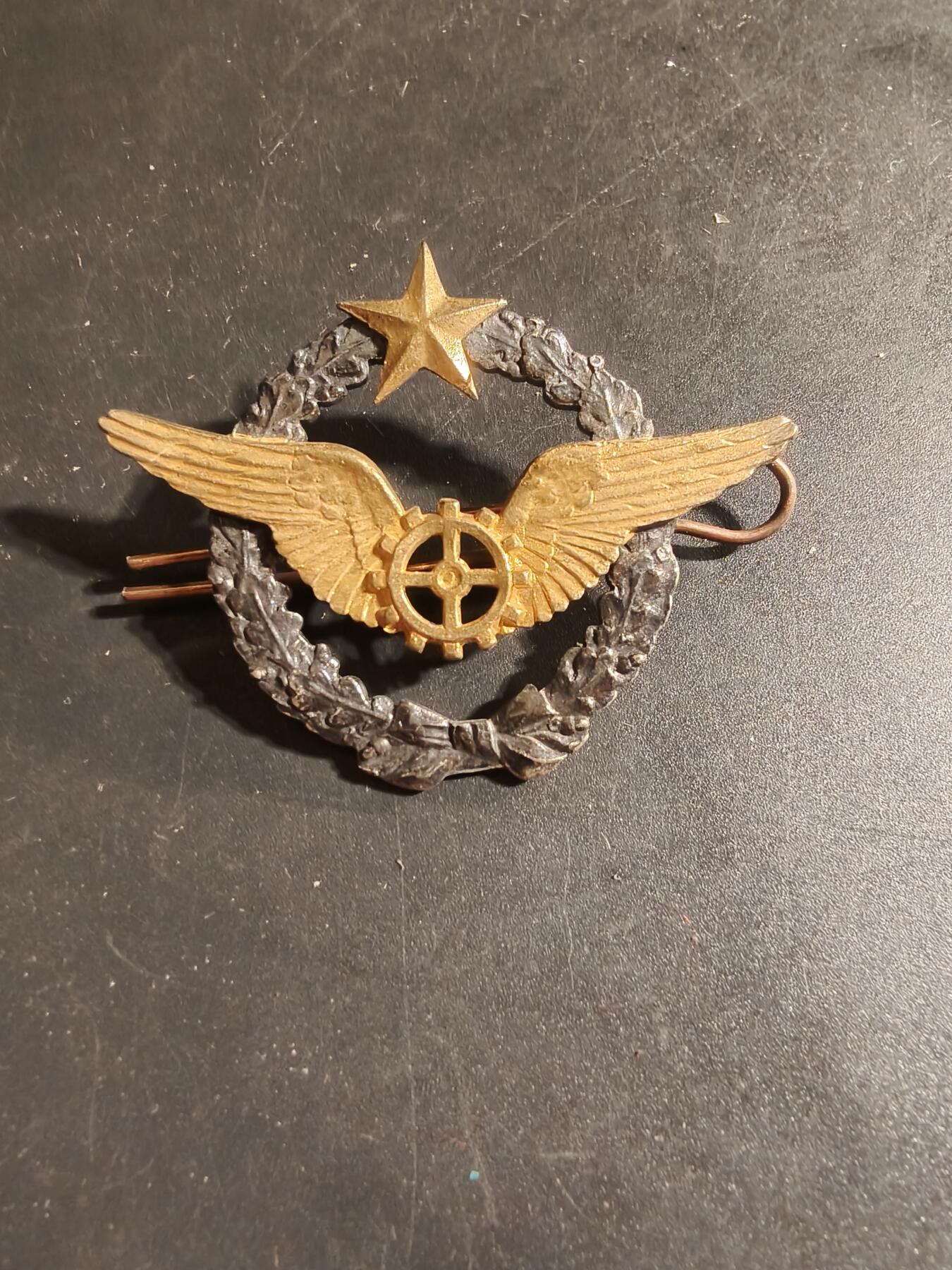 老王徽章第168期 法国空军机械师证章