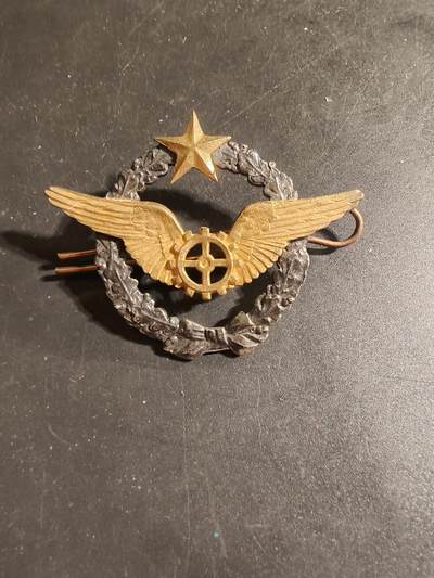 老王徽章第168期 - 法国空军机械师证章