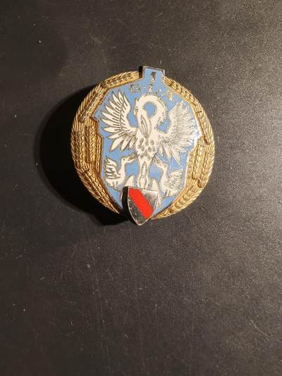 老王徽章第168期 - 法国第1空中联络大队证章