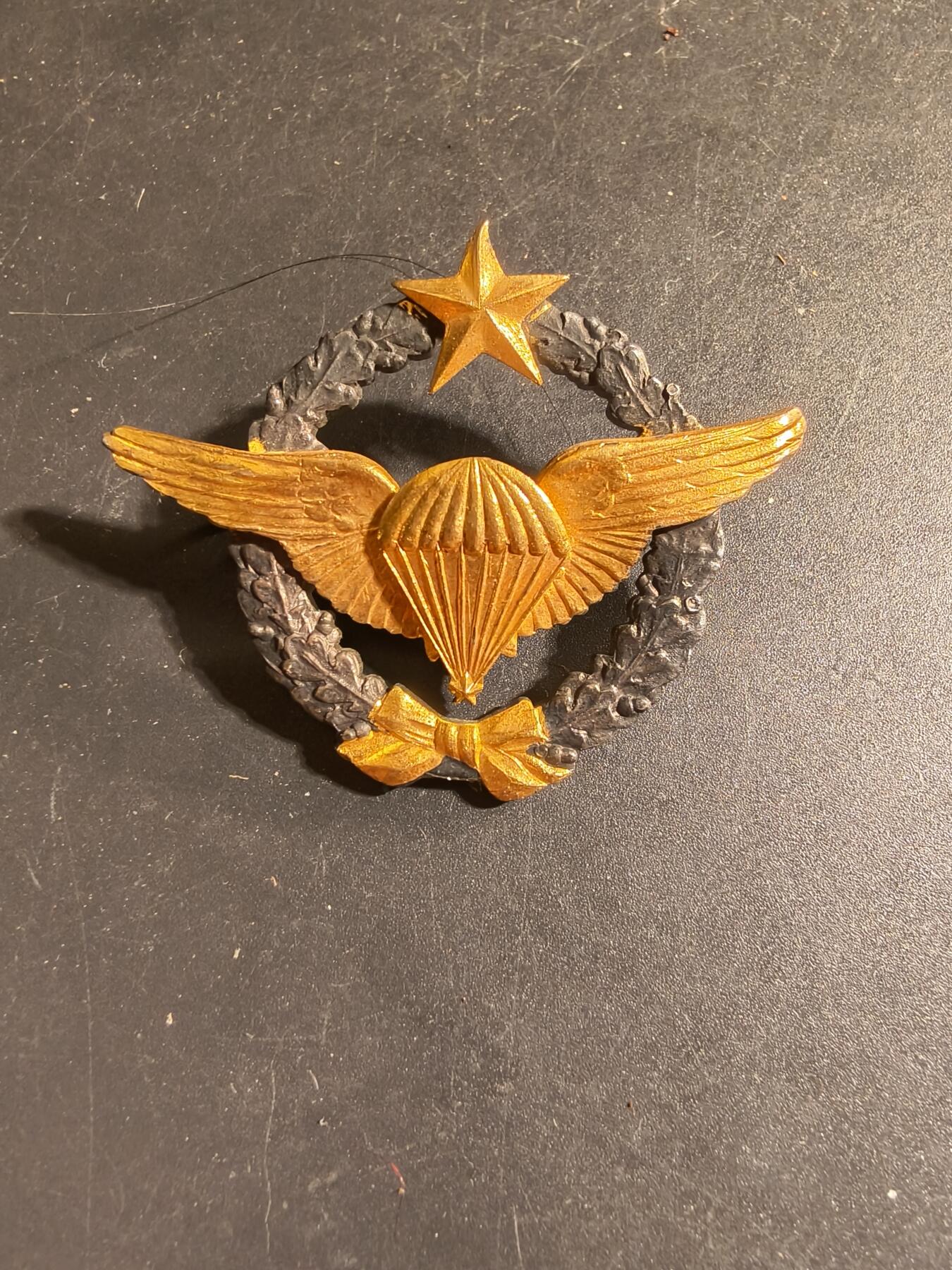 老王徽章第168期 法国空军跳伞测试员证章