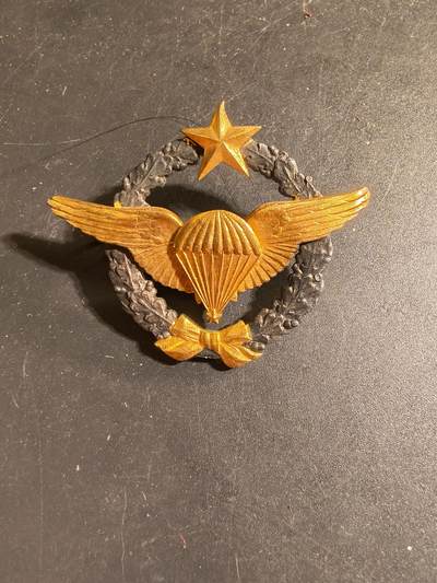 老王徽章第168期 - 法国空军跳伞测试员证章