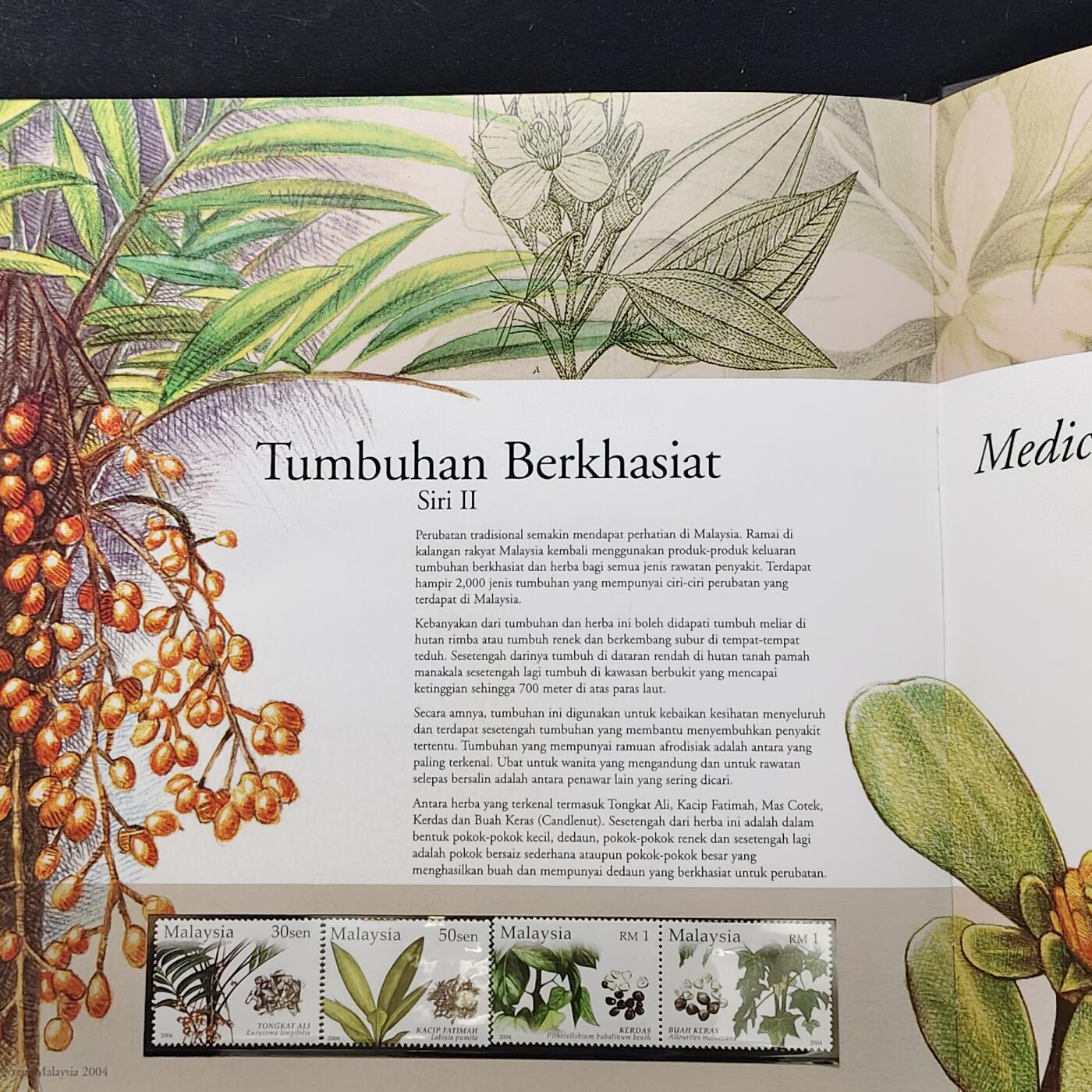 【全场包邮】纯粹捡漏拍483场（免费代拍第20场） 【邮品·收藏级】马来西亚2004年全彩页年度纪念邮册（国内罕见）