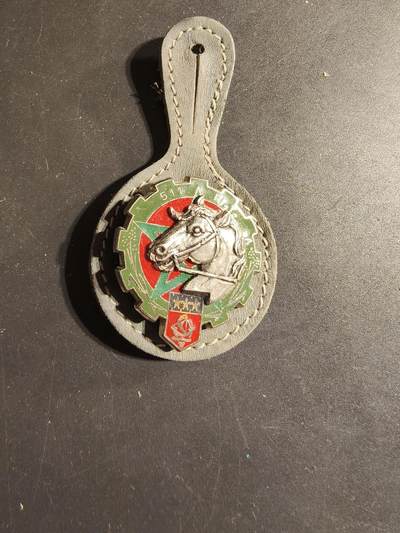 老王徽章第168期 - 法国第511铁路运输团证章