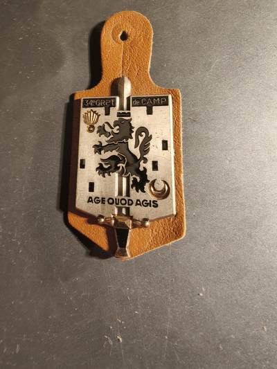 老王徽章第168期 - 法国第34野战营证章