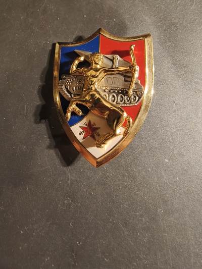 老王徽章第168期 - 法国陆军第74炮兵团证章