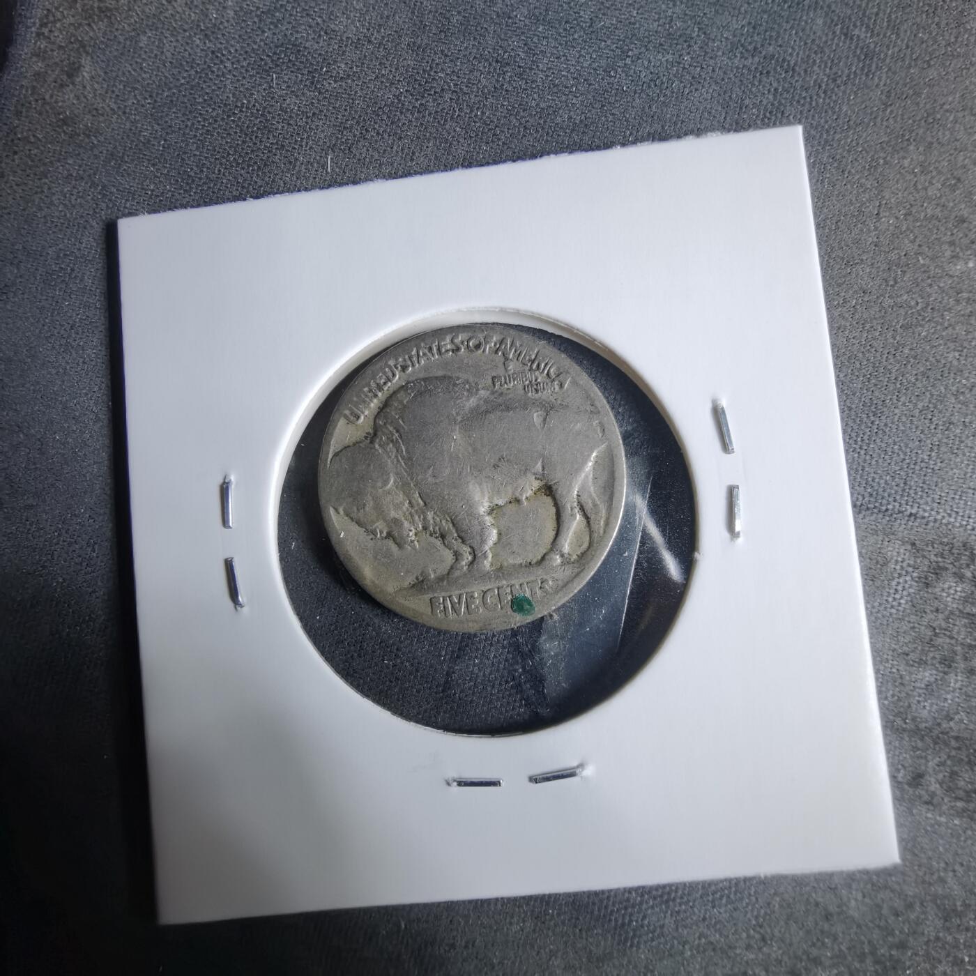 沼泽如烟--第921场 美国野牛五分