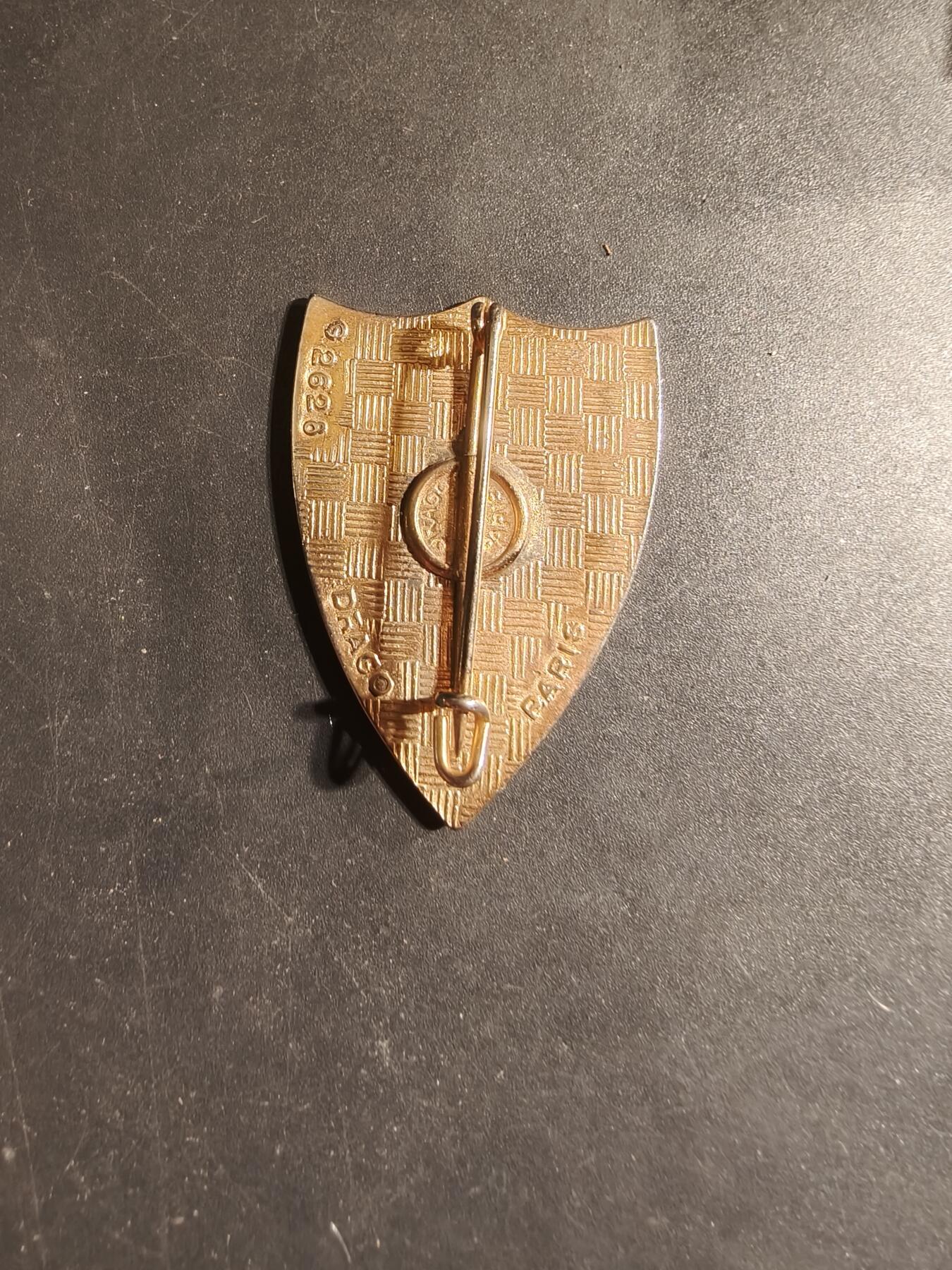 老王徽章第168期 法国第202弹药后勤大队证章