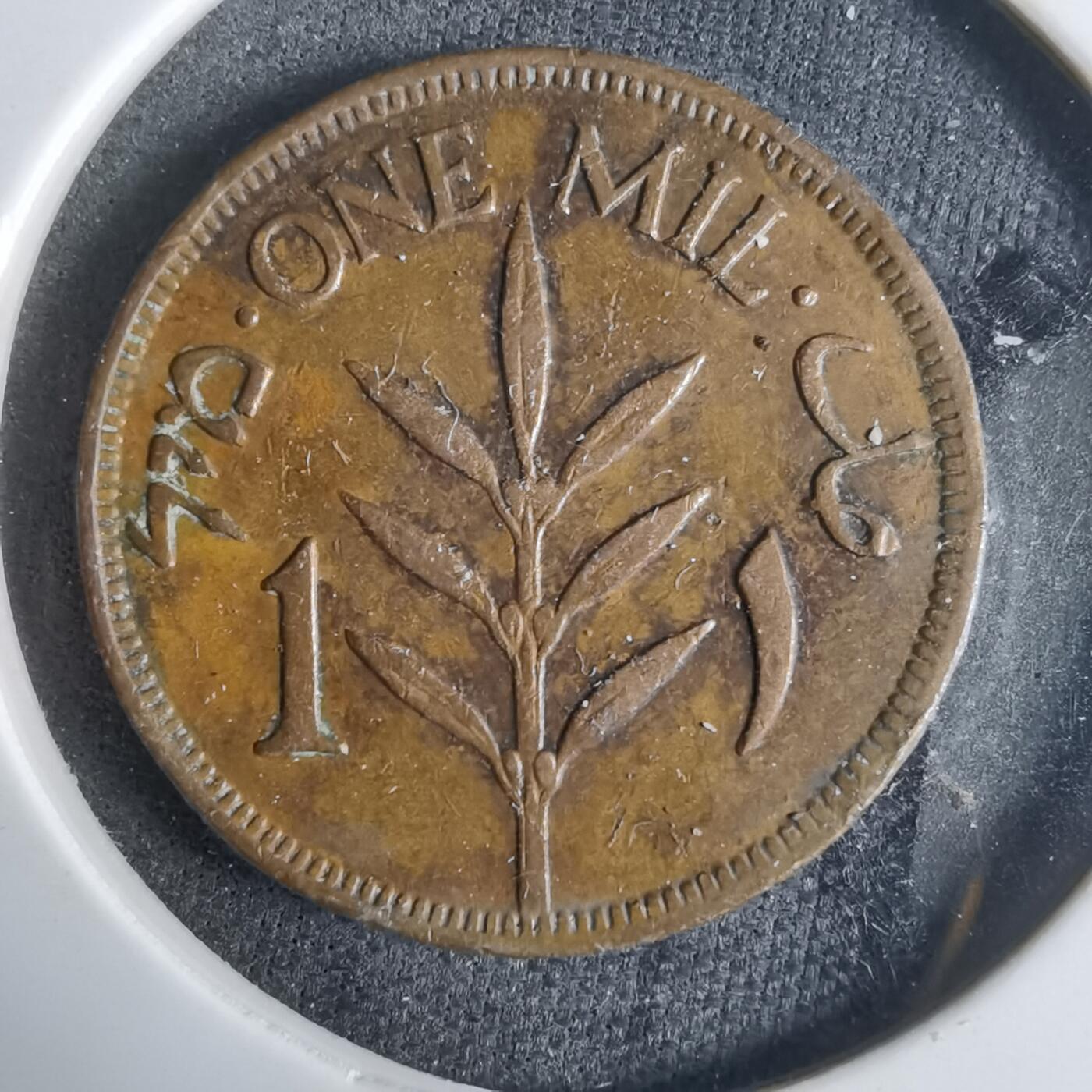 沼泽如烟--第921场 巴勒斯坦1942年1米尔