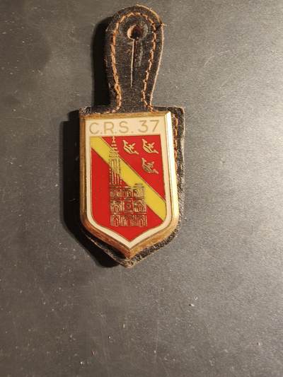 老王徽章第168期 - 法国国家警察特别机动部队37连证章