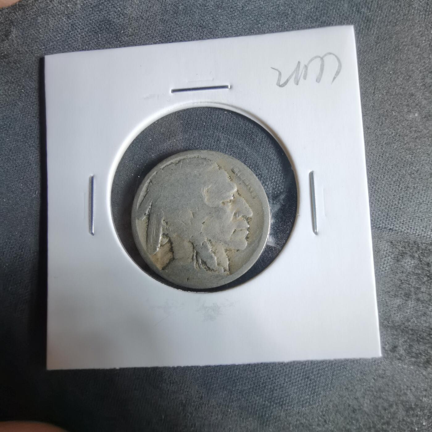 沼泽如烟--第921场 美国野牛五分