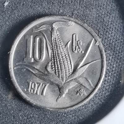 沼泽如烟--第921场 - 墨西哥1977年十分