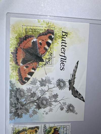 12.26邮票专场 阿富汗1998年蝴蝶系列5枚+小型张