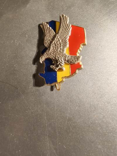 老王徽章第168期 - 法国在乍得“雀鹰”行动证章     该行动是法国军队于1986年在乍得部署的一项军事任务。 行动的目的是阻止利比亚对乍得的入侵，并支持乍得政府。