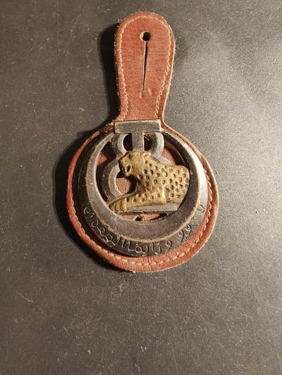 老王徽章第168期 - 法国非洲军团摩洛哥第8轻步兵团证章