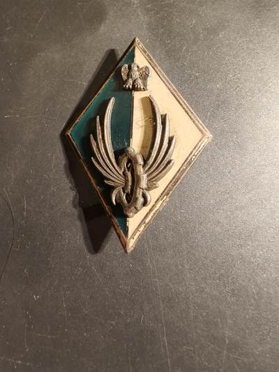 老王徽章第168期 - 法国铁路运输兵司令部证章