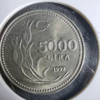 沼泽如烟--第921场 - 土耳其1992年5000里拉