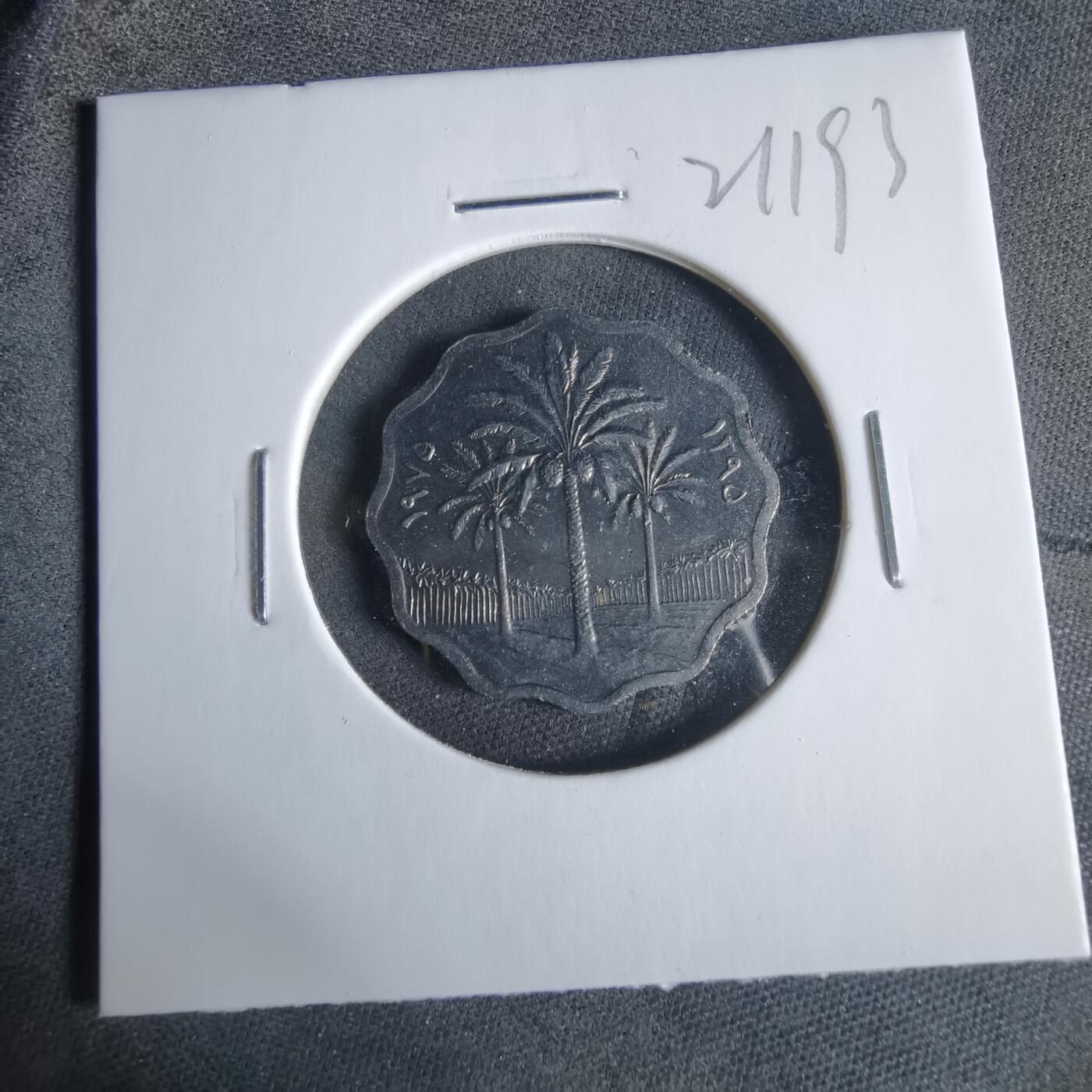 沼泽如烟--第921场 伊拉克