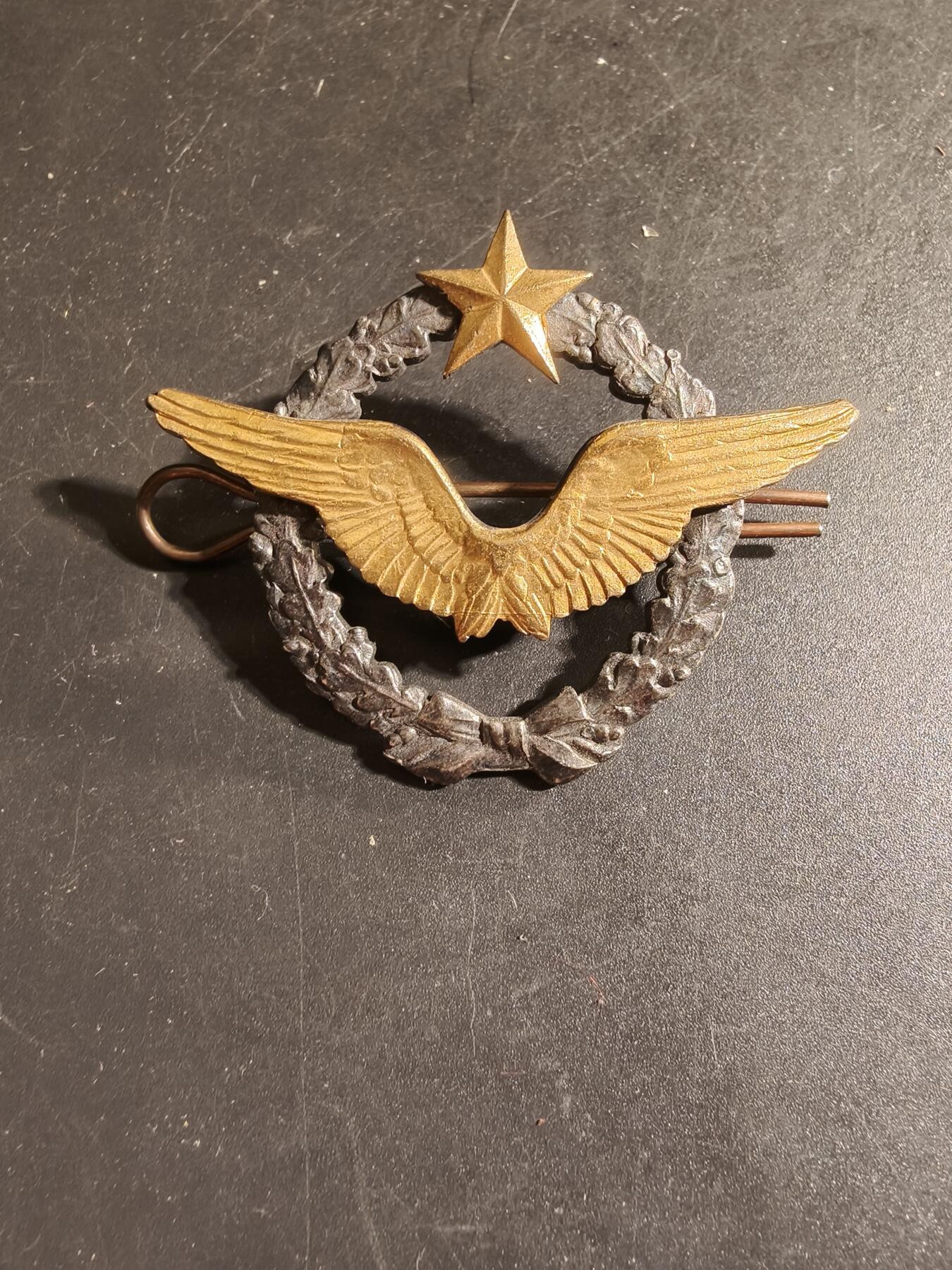 老王徽章第168期 法国空军飞行员证章