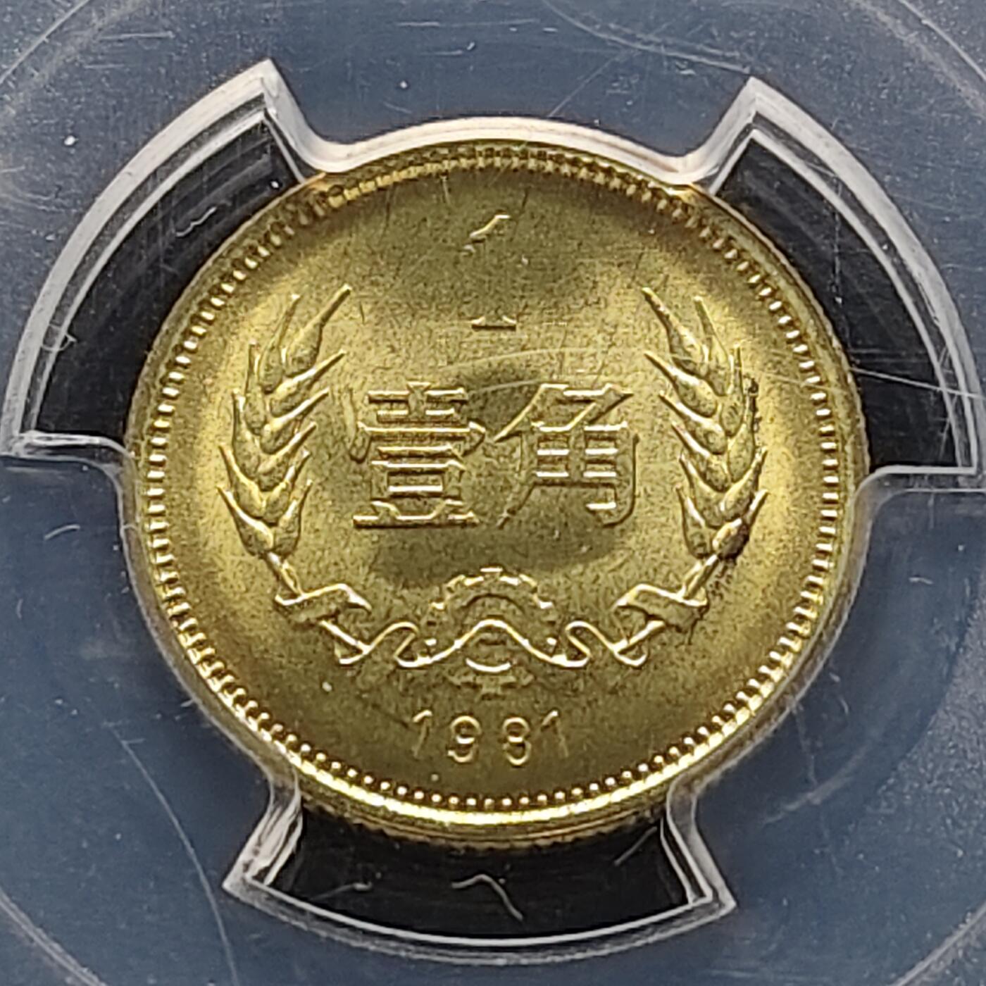 【全场包邮】纯粹捡漏拍483场（免费代拍第20场）