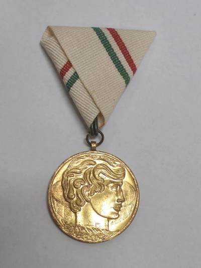 罗岚⭐新藏⭐特惠专拍第一场-分享拍场赚佣 -  匈牙利人民共和国体育部金级为祖国体育贡献奖章 经典三角挂 早期好品 铜镀金