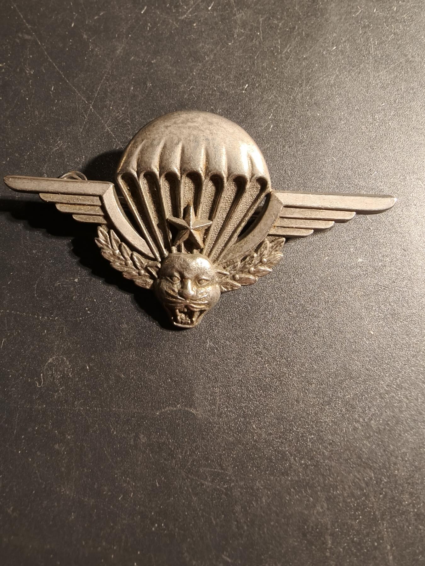 老王徽章第168期