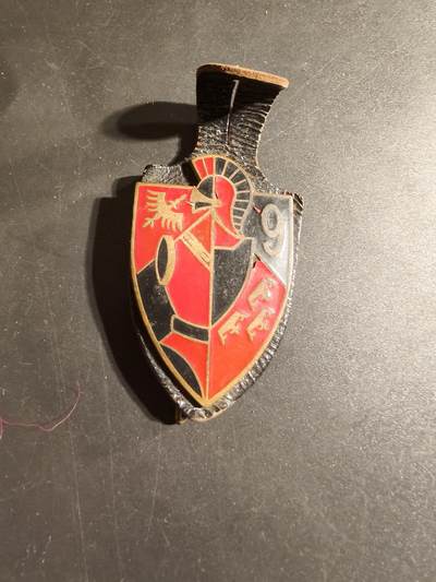 老王徽章第168期 - 法国第9工兵团证章