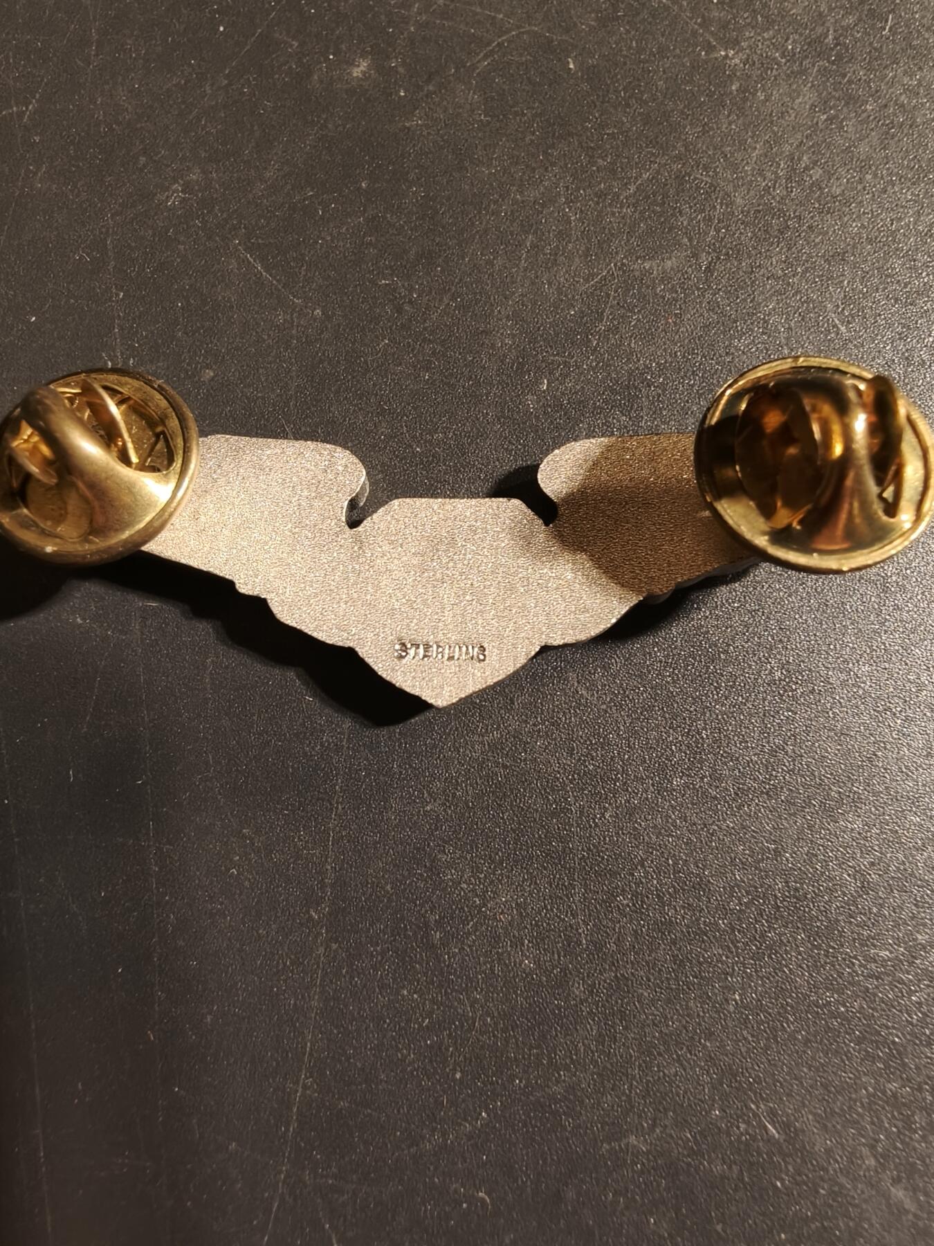 老王徽章第168期 美国空军军医技能章 925银 2英寸