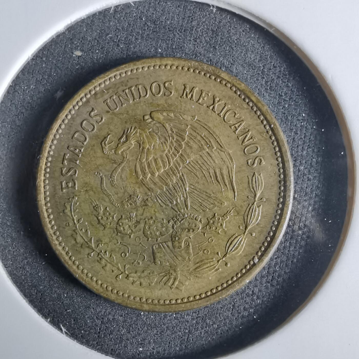 沼泽如烟--第921场 墨西哥1984年20分