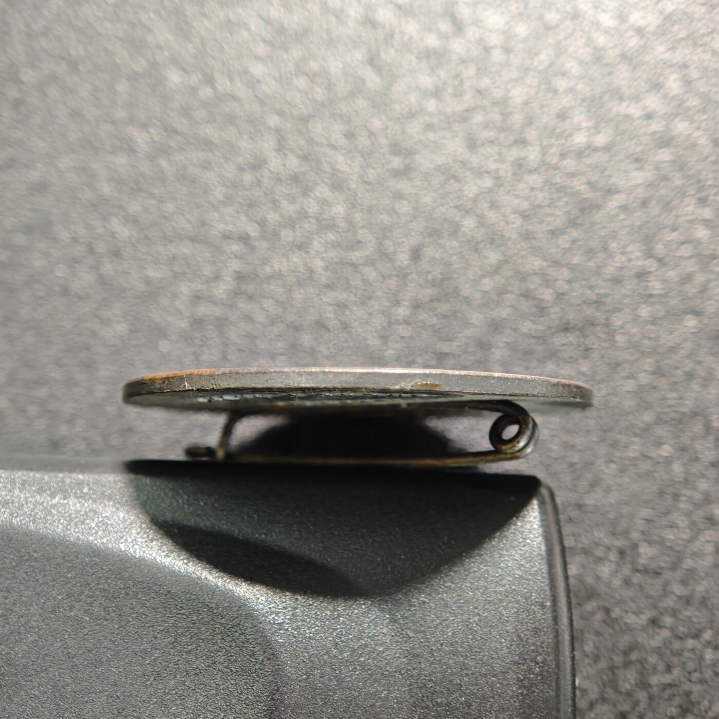 【德藏】世界币章拍卖第156期（拍品征集中~欢迎藏友联系） 1934年 德国民族社会主义工人党党首像章纪念铜章  评级参考目录编号C-211 直径约：35.6mm；重约：14.3g（原图请联系客服）