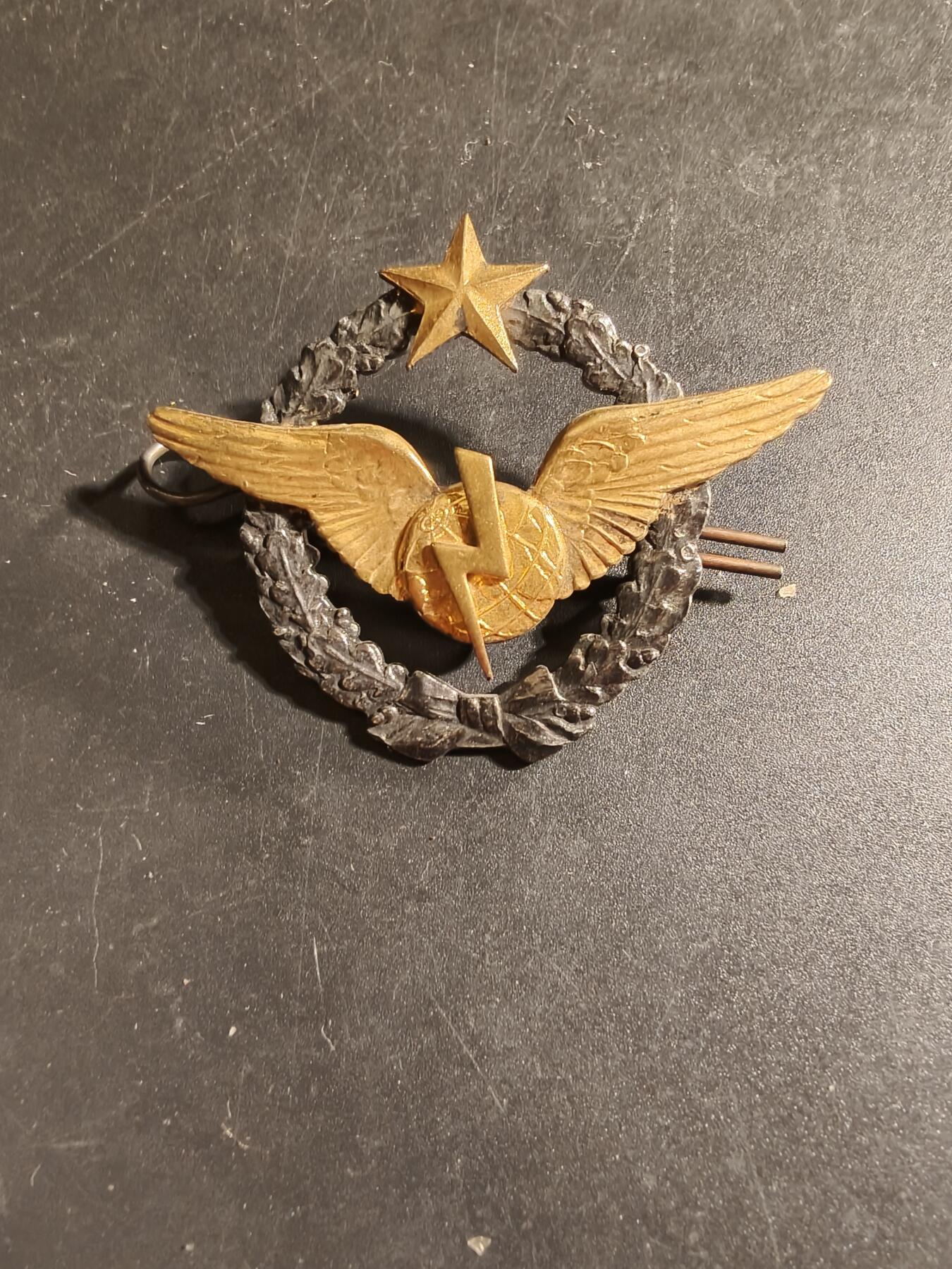 老王徽章第168期 法国空军无线电操作员证章